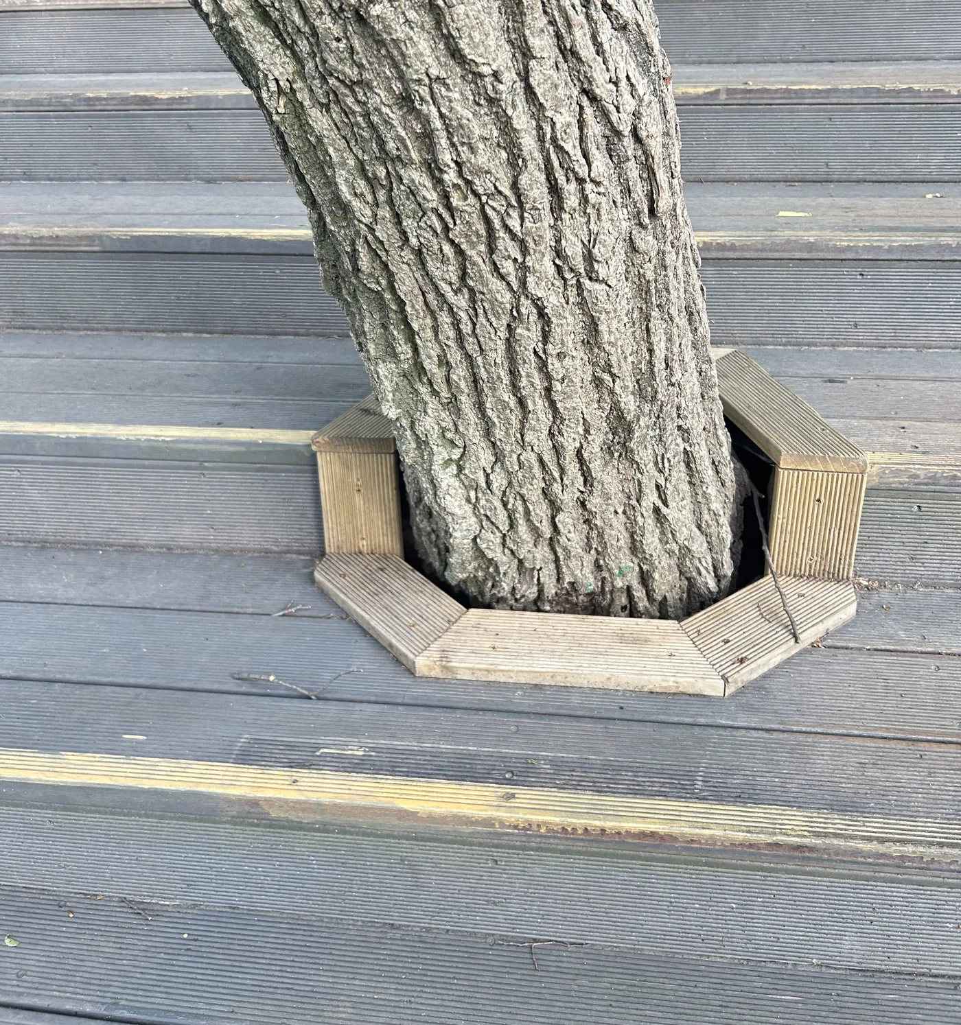Grey deck boards fitted around the base of a tree trunk